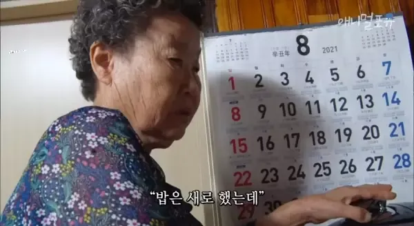 치매 걸린 아내가 4년만에 끓여준 미역국..jpg