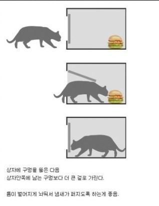 고양이 잡는법.jpg