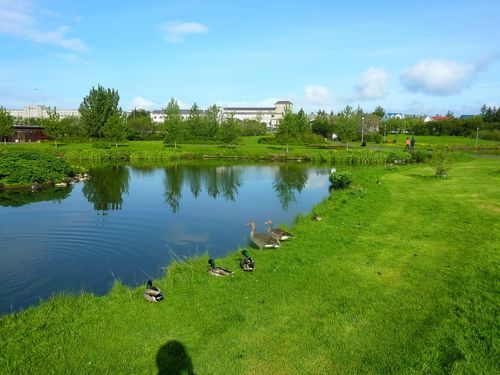 주갤러의 아이슬란드 여행