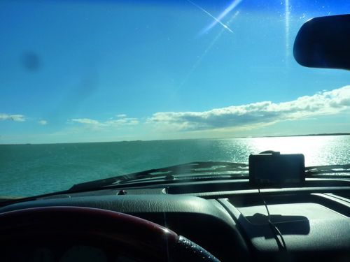 주갤러의 아이슬란드 여행