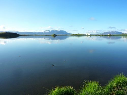 주갤러의 아이슬란드 여행