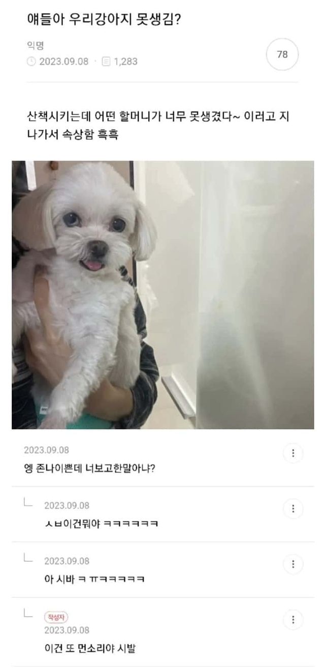 17117698478524.jpg