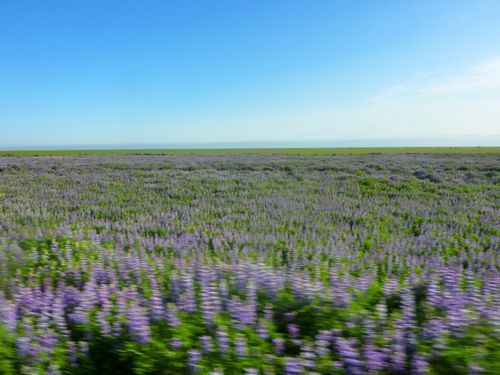 주갤러의 아이슬란드 여행