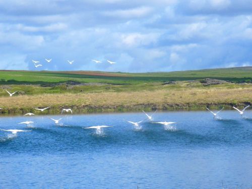 주갤러의 아이슬란드 여행