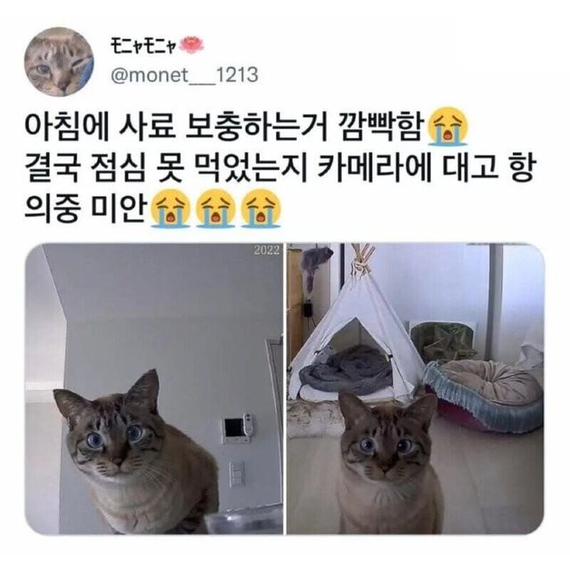 17117782089415.jpg