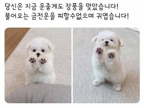 17115825573516.jpg