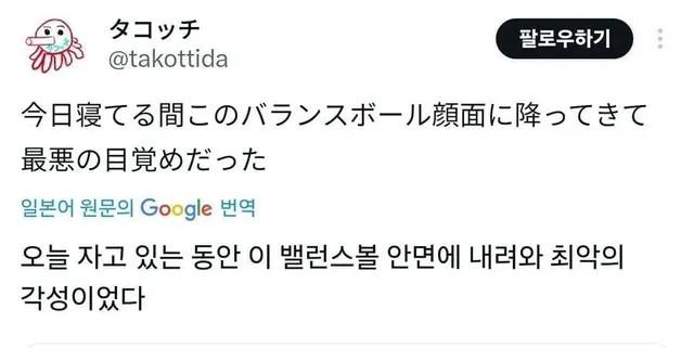 짐볼: 2년동안 버텼으면 이제 내려와도 되겠지?