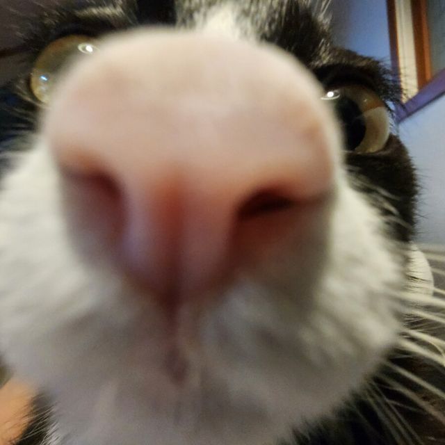 17115729936208.jpg