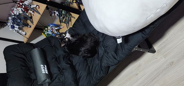 17115730077992.jpg