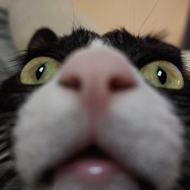 17115730126614.jpg