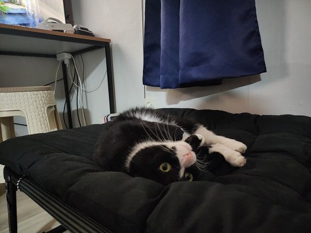 17115730018762.jpg