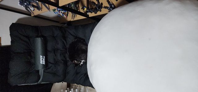 1711573006201.jpg