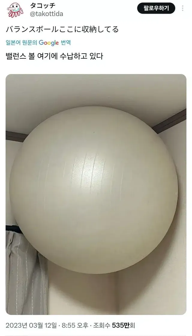 짐볼: 2년동안 버텼으면 이제 내려와도 되겠지?