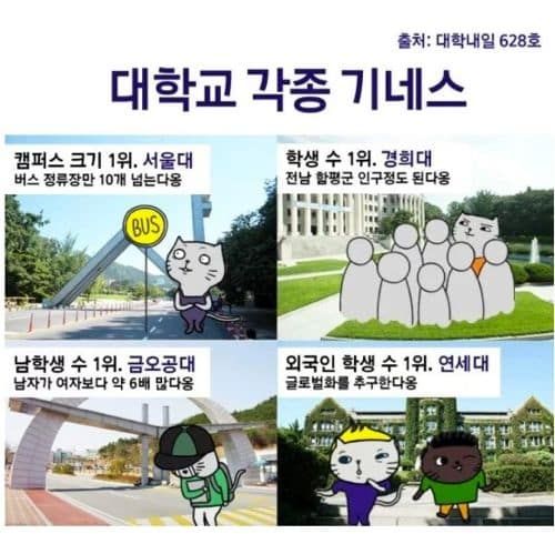 대학별 기네스.JPG