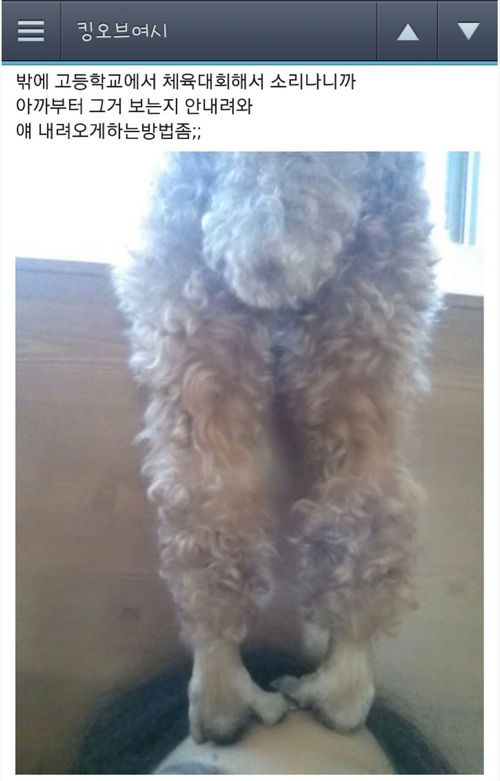 여초카페 드립들.jpg