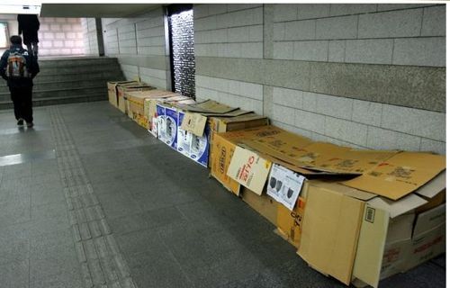 골판지 집으로 방한하기.jpg