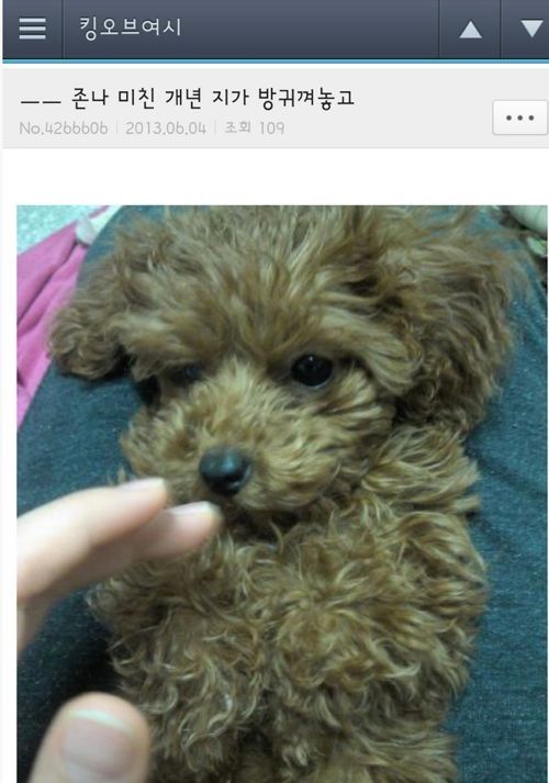 여초카페 드립들.jpg