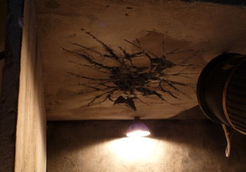 혼자서 4년동안 만든 애니메이션