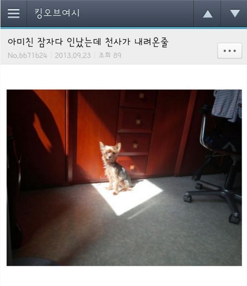 여초카페 드립들.jpg