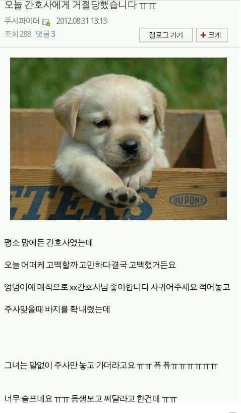 간호사에게 고백하는 법.jpg