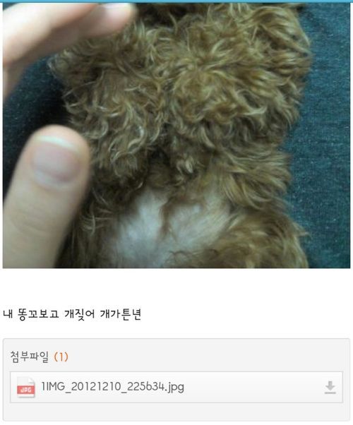 여초카페 드립들.jpg