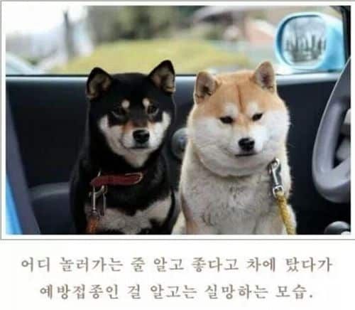 실망한개.jpg