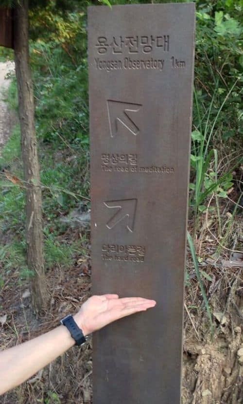 솔직한 안내판.jpg