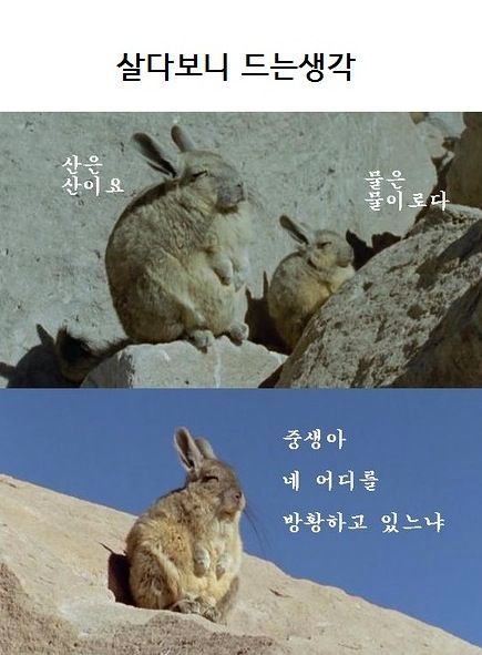 남자로서 단신으로 산다는 것.jpg