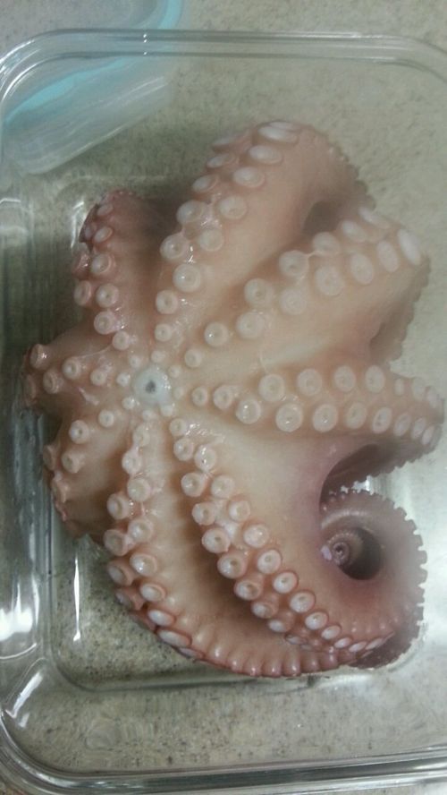 엄마가 딸 닮은거 이쁜거 사갈께