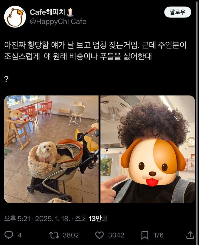 아 진짜 황당함. 얘가 날 보고 엄청 짖는 거임. 근데 주인분이