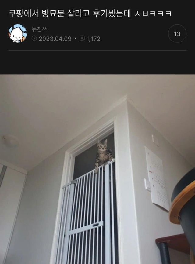 17113363341647.jpg