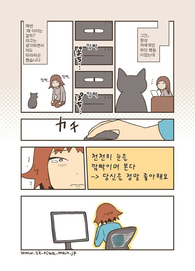 17113335528772.jpg