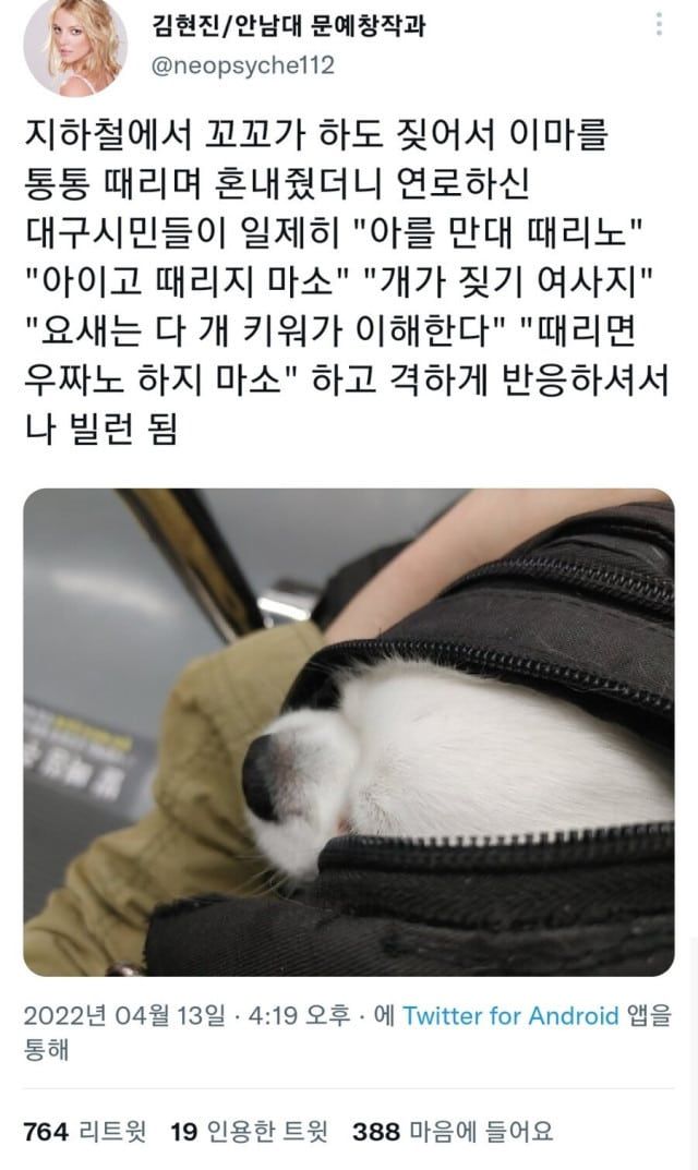 17113312384303.jpg