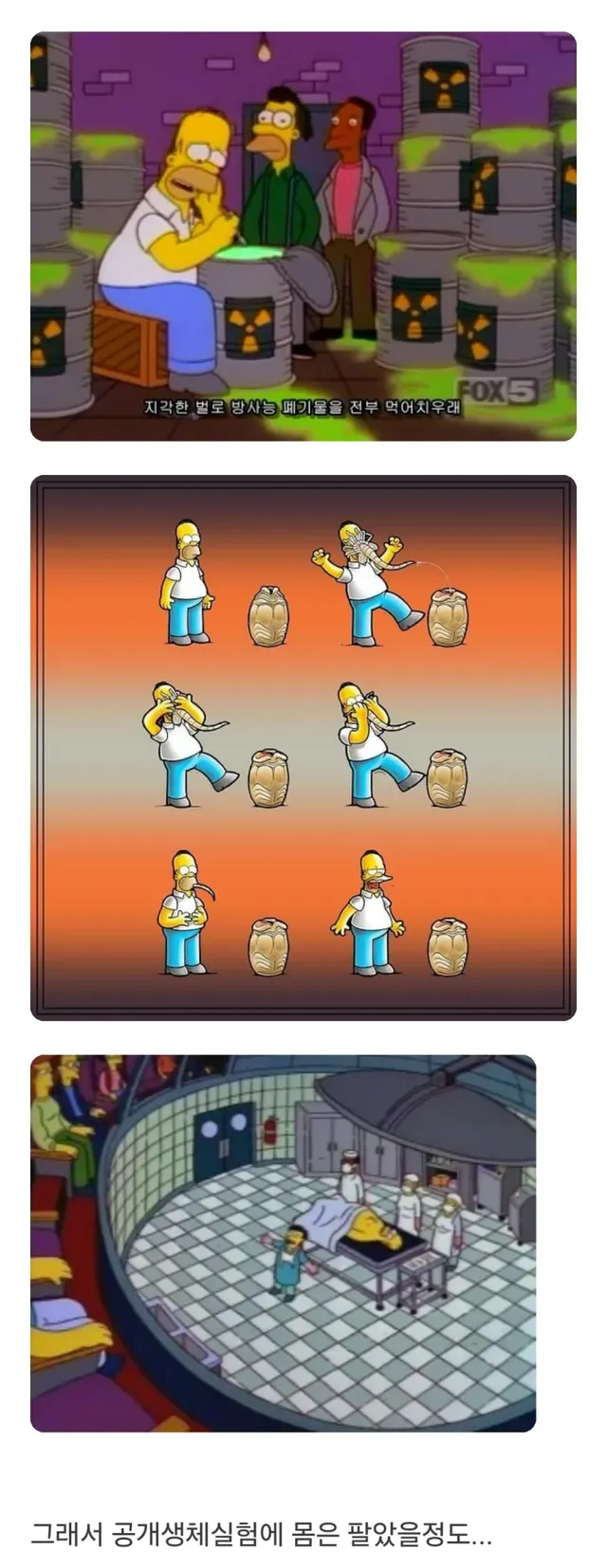 위장이 세계 최강인 호머심슨