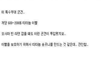 미군 특수부대 군견의 무시무시함