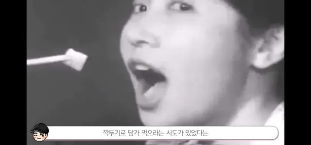 케첩의 충격적인 과거