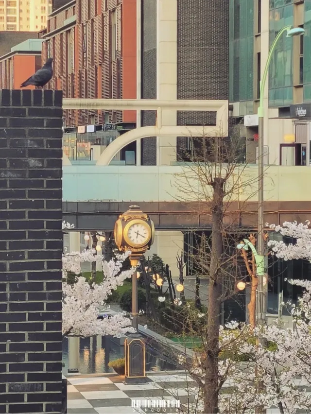 국내유일 미국식 도시계획개발