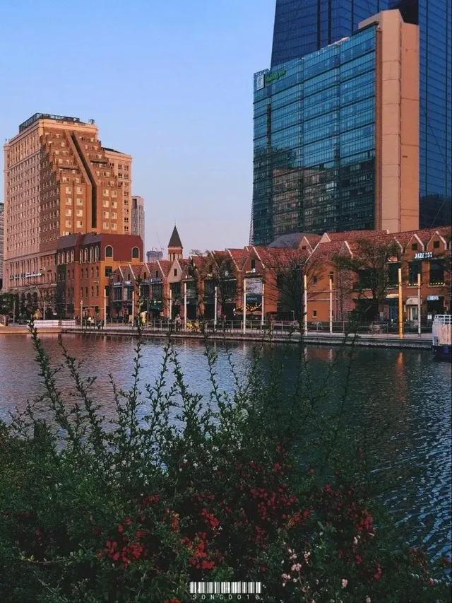 국내유일 미국식 도시계획개발