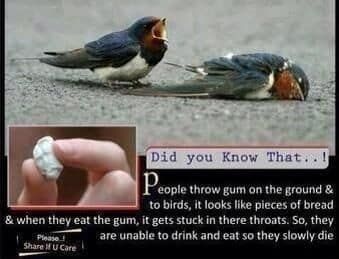 길에서 껌을 함부로 뱉지마세요