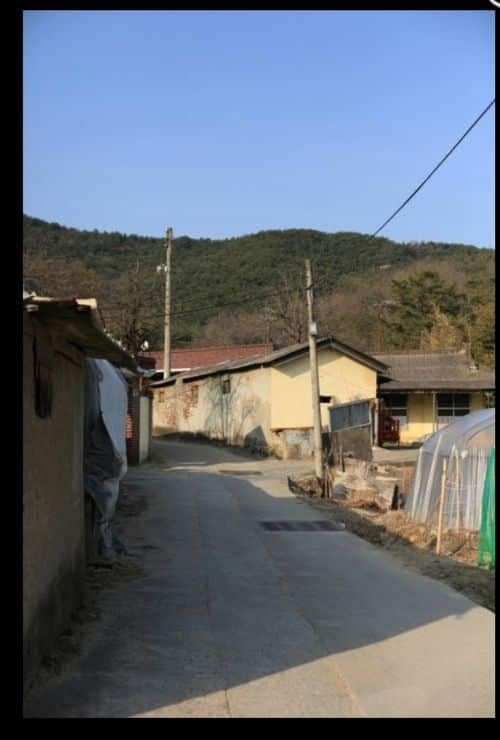 금오공대 대학로.jpg