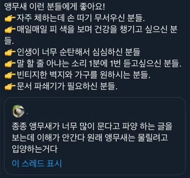 앵무새 키우는 사람들은 공감할 짤