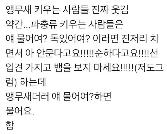 앵무새 키우는 사람들은 공감할 짤