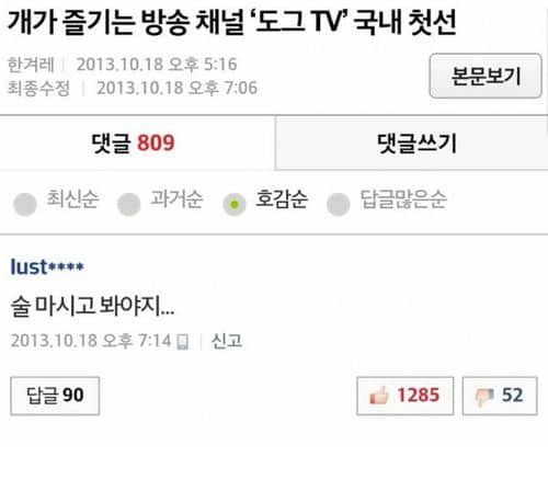 개를 위한 방송 채널 한국에 상륙