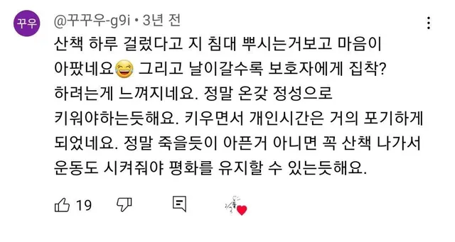 보더 콜리를 평화롭게 키우기 위한 산책표