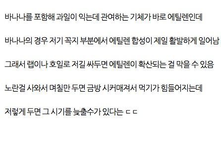 신선한 바나나 보관법.jpg