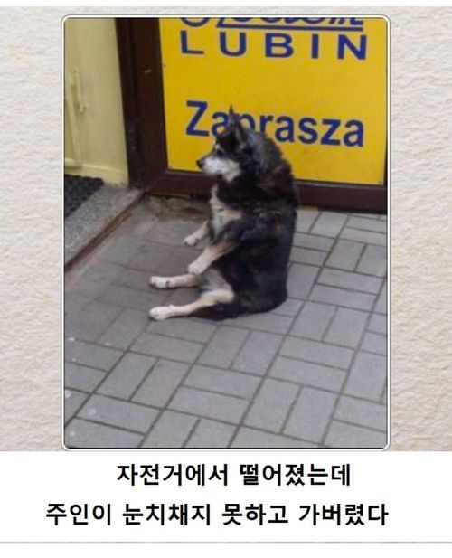 열도의 제목학원 우수작19