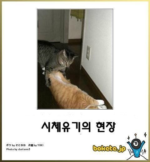 열도의 제목학원 우수작20