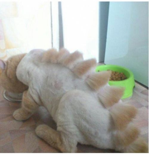 미용21년 산역사.jpg