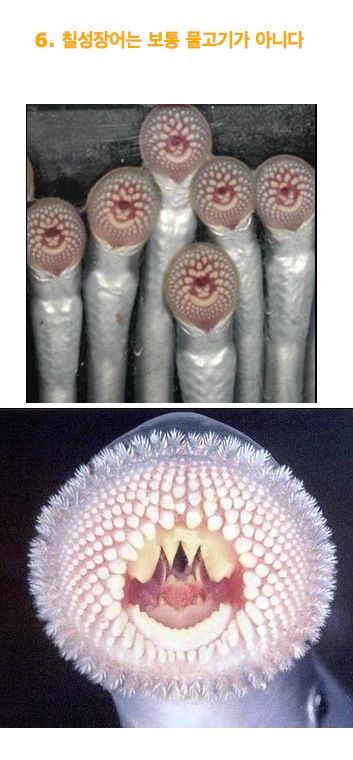 우리가 잘 몰랐던 여러가지 사실들