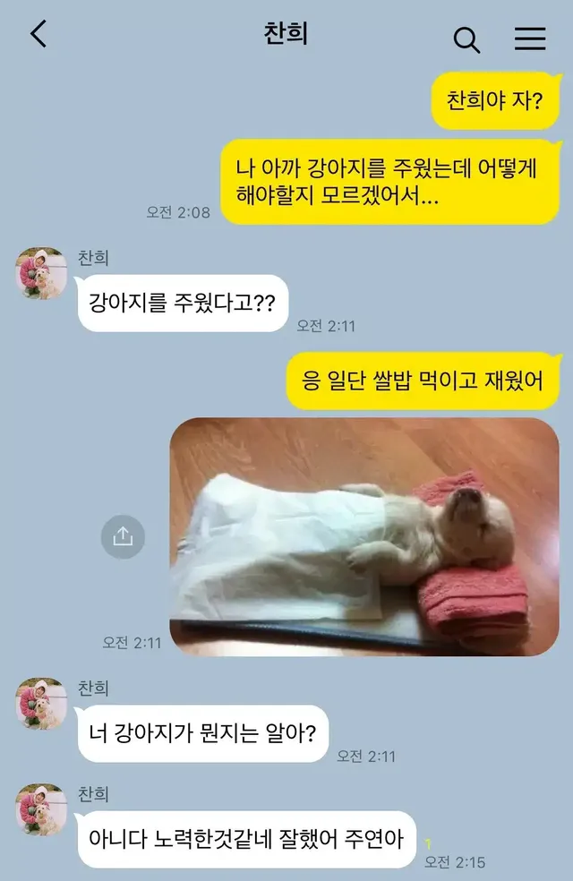 모르는 강아지를 주웠다